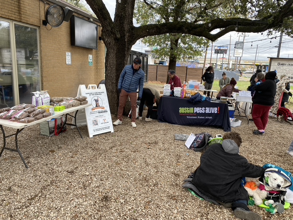 Supporting Austin’s Homeless Pets: Friday Adoption & Care Event