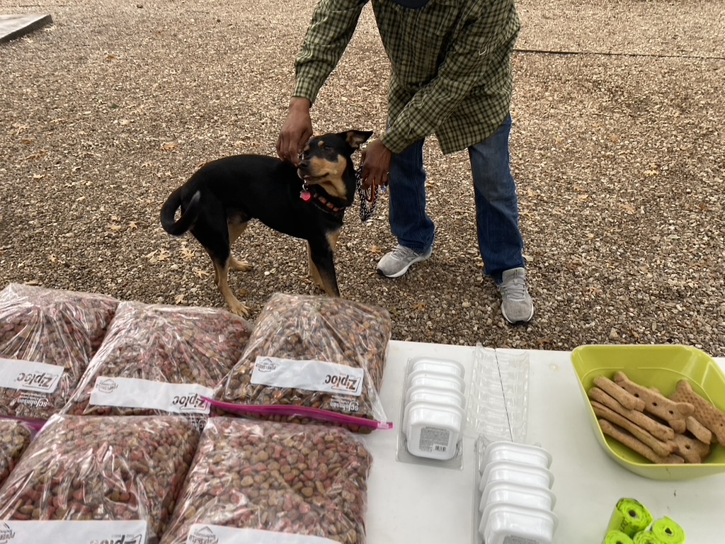 Making a Difference: Friday Event for Austin’s Homeless Pets