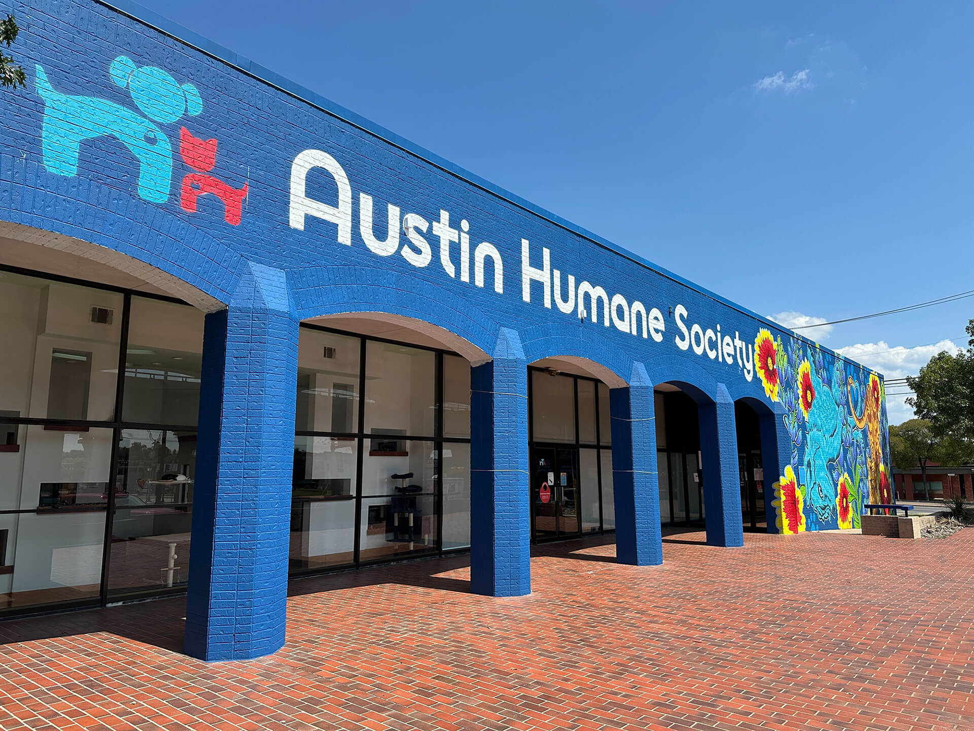 Austin Humane Society dog